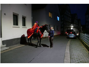 Sankt Martin Laternenumzug durch die Stadt (Foto: Karl-Franz Thiede)